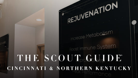 THE SCOUT GUIDE